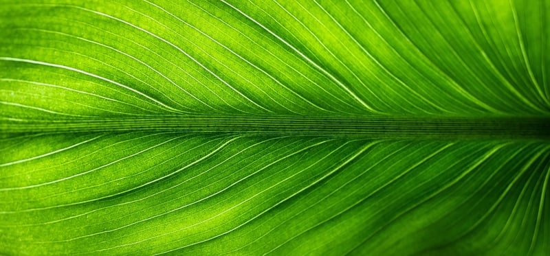 Eco-friendly designs