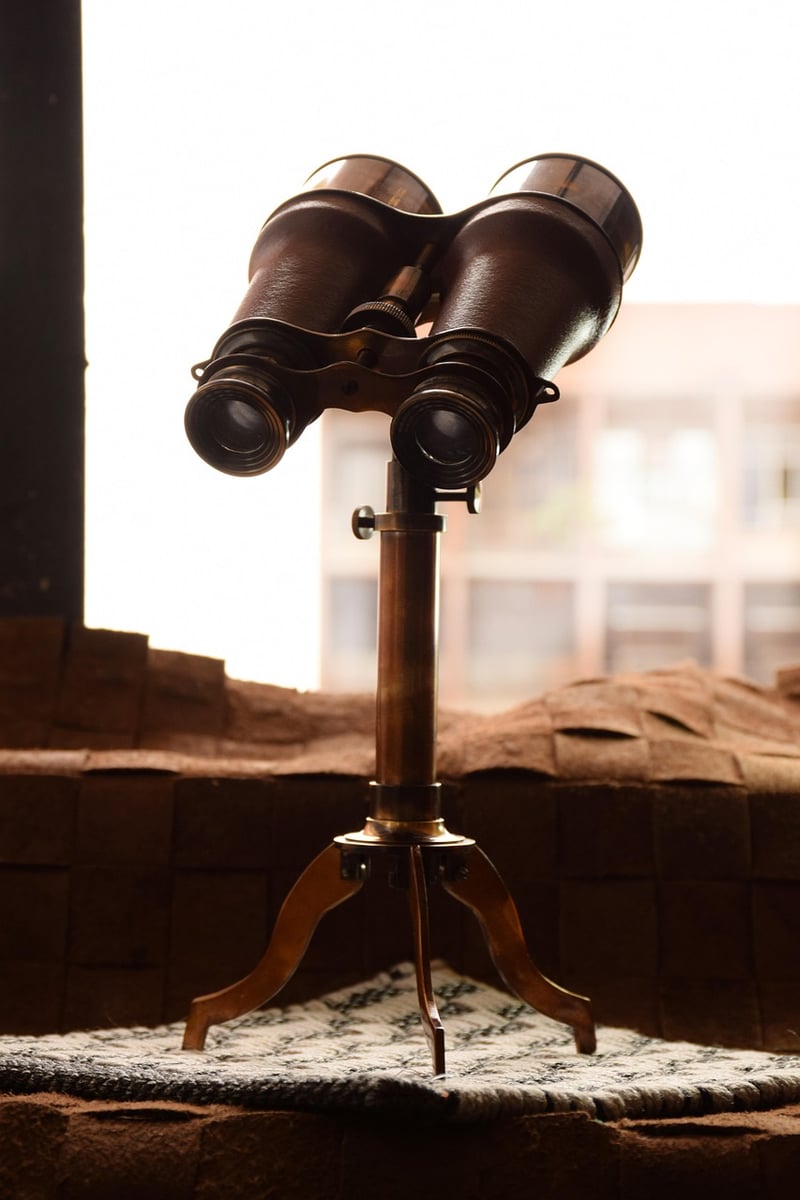 Cardboard tube binoculars